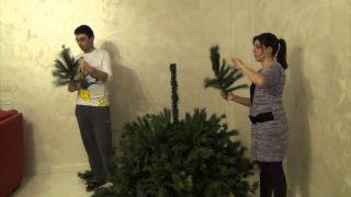 Зашто монтирамо божићна дрвца?