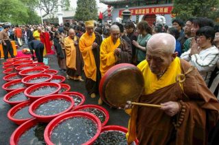Inizia il tuo percorso spirituale: cosa aspettarti da un ritiro buddista