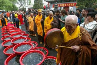 Mulakan perjalanan kerohanian anda: apa yang diharapkan dari tempat berundur Buddha