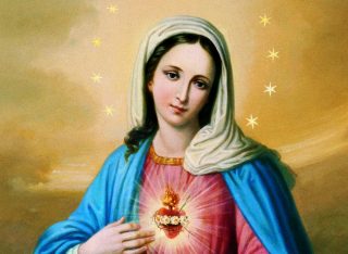 今天對聖母的奉獻，她給了你恩典和永恆的救贖