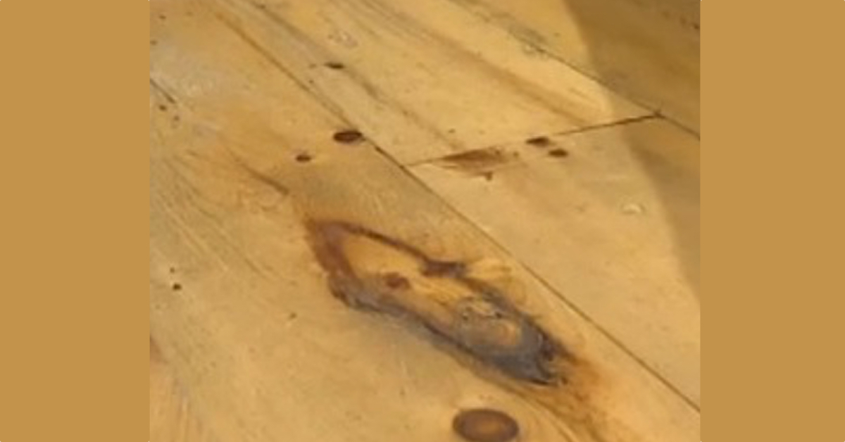 Odkrywa twarz Jezusa na drewnianej podłodze salonu kosmetycznego