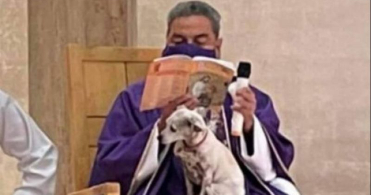 Un prêtre célèbre la messe avec un chien sur ses genoux (PHOTO)