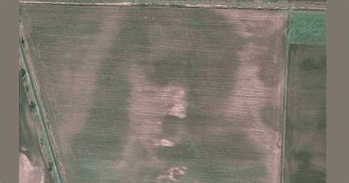 Sorpresa e mistero dal satellite: il volto di Gesù appare in campagna (FOTO)