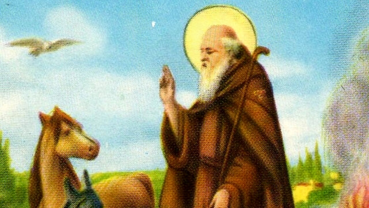Saint of the Day - အန်တိုနီယို အဗိတ်၊ ကျေးဇူးတော်တစ်ခု တောင်းဖို့ သူ့ဆီ ဘယ်လို ဆုတောင်းရမလဲ