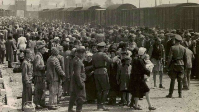 koncentrációs táborok