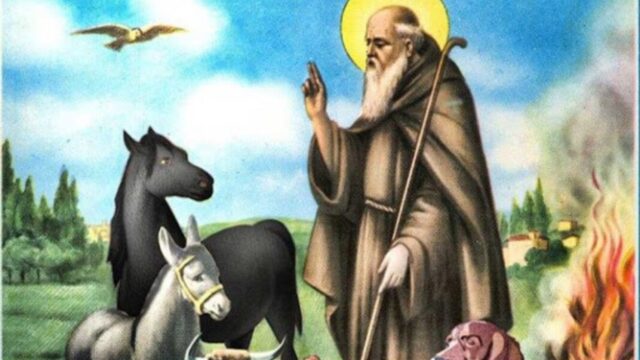 Saint Anthony the Abbot: yemwe ndi woyera mtima woyang'anira nyama